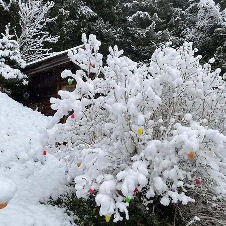 Lejlighed Klenkes - Entschleunigen Und Erholen Neustift im Stubaital
