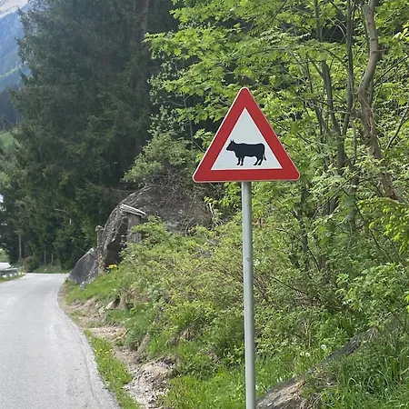 Klenkes - Entschleunigen Und Erholen Lejlighed Neustift im Stubaital