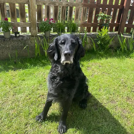 Klenkes - Entschleunigen Und Erholen *