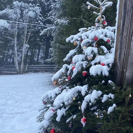Klenkes - Entschleunigen Und Erholen アパート *