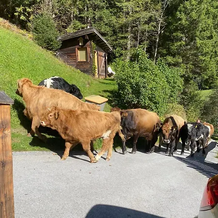 Klenkes - Entschleunigen Und Erholen Neustift im Stubaital