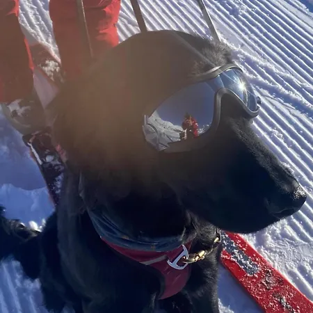 Klenkes - Entschleunigen Und Erholen