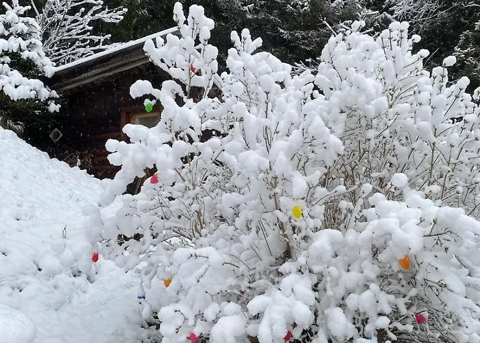 شقة Klenkes - Entschleunigen Und Erholen نيوستيف ام ستوبيتا