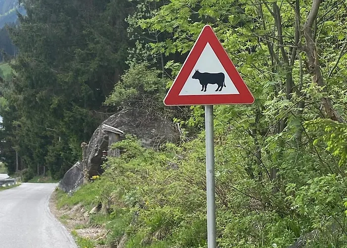 Klenkes - Entschleunigen Und Erholen شقة نيوستيف ام ستوبيتا