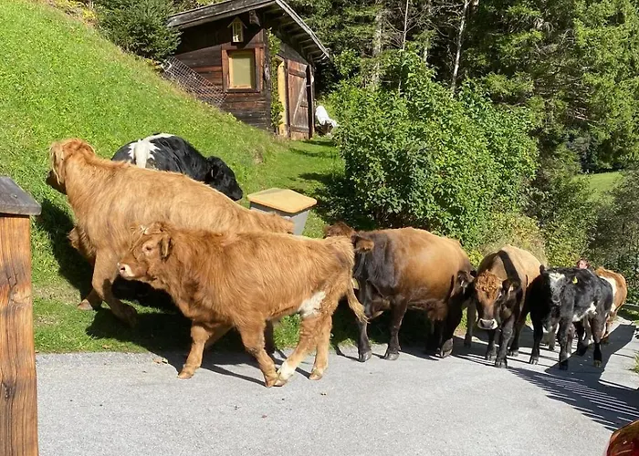 Klenkes - Entschleunigen Und Erholen نيوستيف ام ستوبيتا