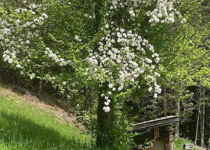 Klenkes - Entschleunigen Und Erholen شقة *