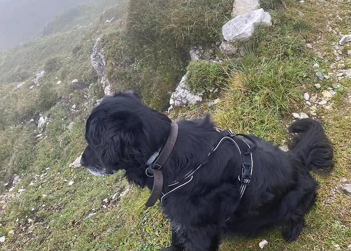 شقة Klenkes - Entschleunigen Und Erholen نيوستيف ام ستوبيتا