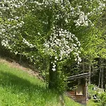 Klenkes - Entschleunigen Und Erholen شقة *