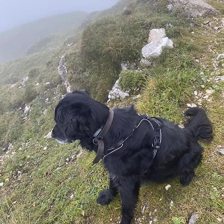 Daire Klenkes - Entschleunigen Und Erholen Rehoboth Beach
